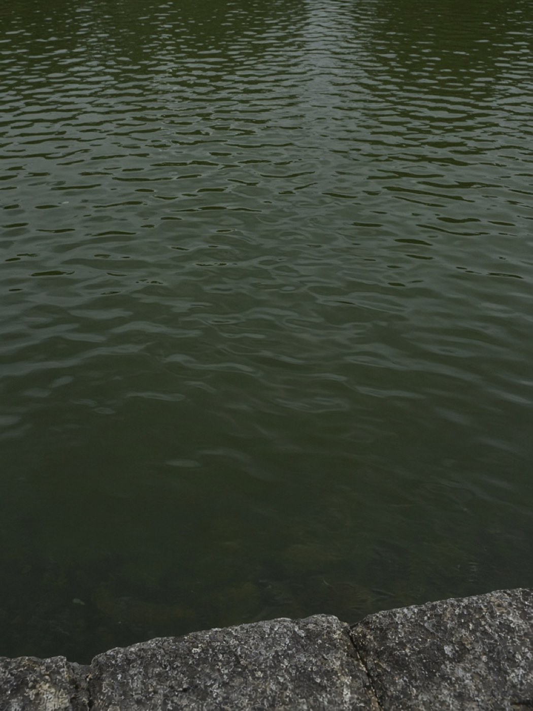 Dunkles Wasser am Steinrand